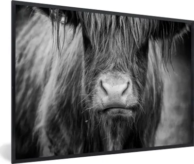 Produktbild von MuchoWow® Gerahmtes Poster Schottischer Highlander - Haare - Tiere 60x40 cm - Poster mit Schwarzem Bilderrahmen Wandposter Rahmen Foto Bilder - Printing - Wanddeko Schlafzimmer