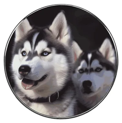 Produktbild von Magnetische Kühlschrankaufkleber – Motiv: Husky-Hund