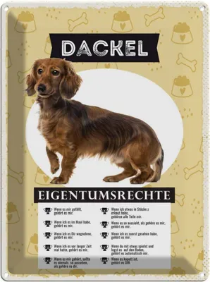 Produktbild von vianmo Blechschild 40x30 cm Dackel Eigentumsrechte Tier Haustier Hund
