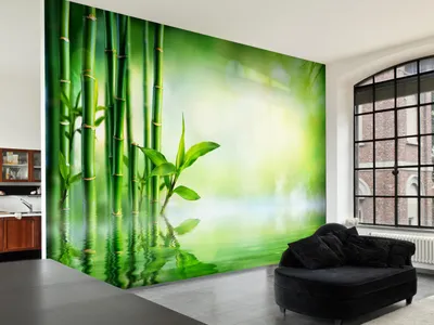 Produktbild von Vlies Fototapete Spa 400x280 cm Tapeten Wandtapete XXL Bambus Natur grün b-B-0164-a-a