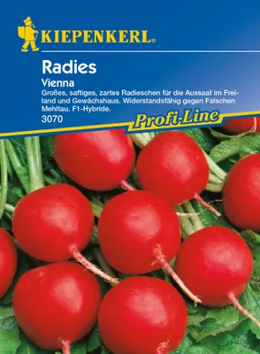 Produktbild von Radies Vienna F1 | Radieschensamen von Kiepenkerl [MHD 01/2025]