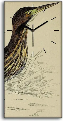 Produktbild von Wandbild Leinwand Bilder mit Uhr 30x60 Vögel Wild Tiere Zeichnung Kunst - schwarze Hände