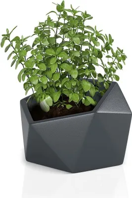 Immagine prodotto di promondo living: Planters VESARI antracite (Vesari antracite)