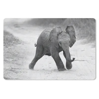 Produktbild von MuchoWow® Mauspad Mousepad Elefant - Baby - Tiere - Kröte - Schwarz und weiß 27x18 cm - Mousepads - Maus Mat - Pad - Mausunterlage - Büroartikel - Desk Matten