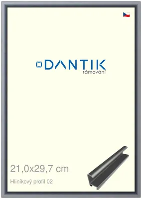 Obrázek produktu pro DANTIK rámeček 21x29,7 | ALU profil 7002 Platina matná (Sklo Čiré)