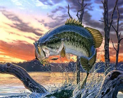 Image de Peinture sur toile par numéros - Thème : poissons