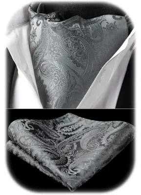 Imagen del producto de Bufanda tipo corbata para hombre, diseño paisley, estilo ascot, color gris, talla única