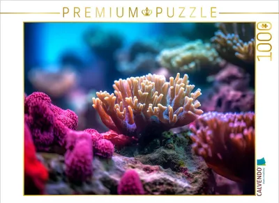 Produktbild von CALVENDO Puzzle Korallentraum | 1000 Teile Lege-Größe 64x48cm Foto-Puzzle für glückliche Stunden