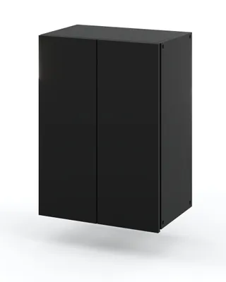 A black cabinet with two doors is shown against a white background.