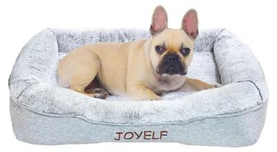 Immagine prodotto di Cuccia per cani in memory foam, ortopedica, lavabile, con tappetino removibile, dimensioni 70x50x13 cm