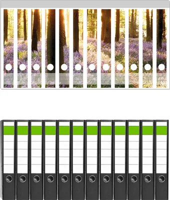 Produktbild von Wallario 12 Stück schmale Ordner inkl. Klebeetiketten mit Motive Blaue Hasenglöckchen im Wald mit Sonnenstrahlen -  Set mit Rückenschildern / Ordnerrücken Stickern