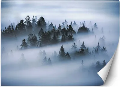 Produktbild von Vlies fototapete Wald im Nebel 400x280 cm Feeby Grau inkl. Kleber einfache Montage