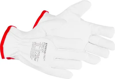 Produktbild von Handschuhe Strend Pro Flavus, Vollleder, Größe 9/L