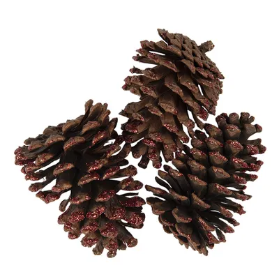 Obrázek produktu pro Clayre & Eef Dekorace Borovicová šiška sada 3 ks 8/10 cm Hnědé dřevo