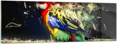 Produktbild von Bilder auf glas - Papagei Vogel Feder - 160x50cm - Glasbilder - Wandbilder - Kunstdruck - zum Aufhängen bereit - Wanddekoration aus Glas - Glas Bilder - Wandbild auf Glas - Einteilig - GAB160x50-3682