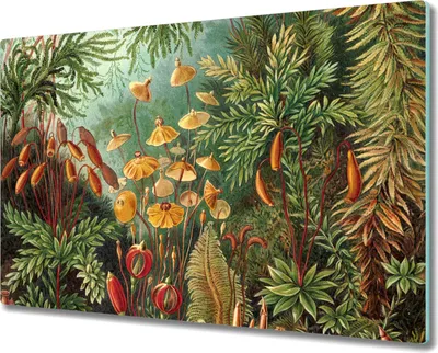 Produktbild von Glas-Herdabdeckplatte Glaskeramikkochfeld-Abdeckung Spritzschutz - 80x52 cm - Dschungel Aquarell