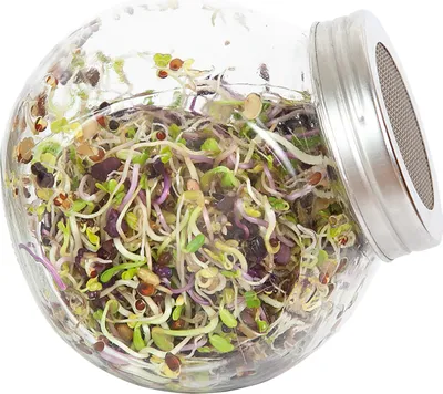 Produktbild von Sprossenglas (425 ml) | Anzuchtschalen von FLORTUS