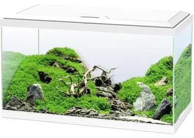 Image de Kit aquarium Ciano, comprenant : couvercle, éclairage LED, système de filtration avec pompe de circulation, chauffant/résistance chauffante, filtre interne, de couleur blanche