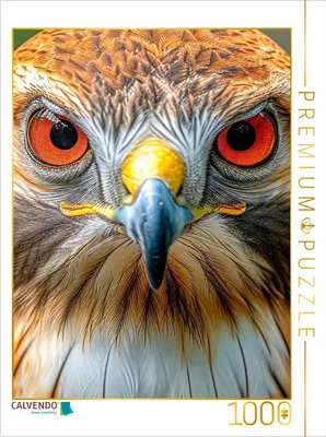 Produktbild von CALVENDO Puzzle Baumfalke | 1000 Teile Lege-Größe 64x48cm Foto-Puzzle für glückliche Stunden