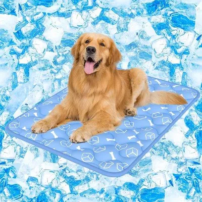 Immagine prodotto di Tappetino in fibra sintetica XL per cani di taglia grande, blu, 80 x 110 cm, auto-raffreddante, lavabile, antiscivolo, morbido, assorbente