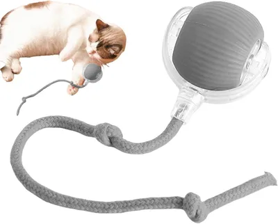 Produktbild von Interaktiver Katzenball mit USB-C Ladefunktion – Selbstrollendes Katzenspielzeug mit LED & Sound, 3 Modi, Automatischer Bewegungsball mit Schnur grau