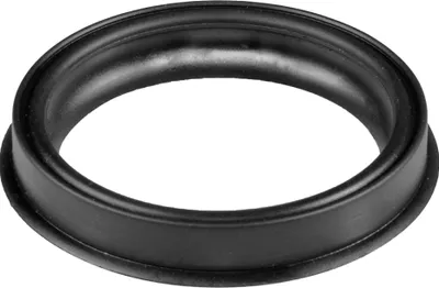 Obrázok produktu pre Sacie tesnenie, systém ''Storz'' 52-C : Sacie tesnenie 52-C Verzia: Sacie tesnenie 52-C