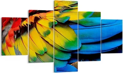 Produktbild von Bild auf Leinwand - Leinwandbild - Feder Papagei Vogel - 125x70cm - Wand Bild - Wanddeko - Leinwanddruck - Bilder - Kunstdruck - Wanddekoration - Leinwand bilder - Wandkunst - EA125x70-3428