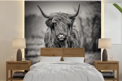 Obrázek produktu pro MuchoWow® Fototapety do obývacího pokoje nebo ložnice tapety vinylové motivy tapety Skotský horal - Portrét - Černobíle 240x240cm