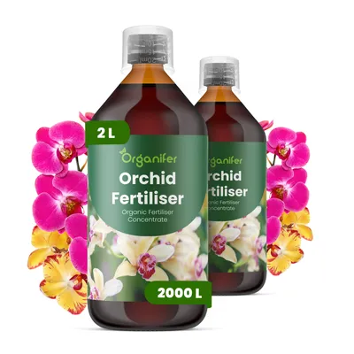 Produktbild von Orchideen Flüssigdünger 2x1L – 3-4-3 NPK – Flüssig-Pflanzendünger für Orchideen – Fördert kräftige Wurzeln & gleichmäßige Blütenbildung – Organifer