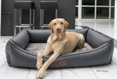 Produktbild von Petlando Orthopädisches Hundebett Linz Ortho Größe M / 90 x 70 x 30 cm