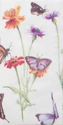 Produktbild von Papiertaschentücher "Schmetterlingsgarten"