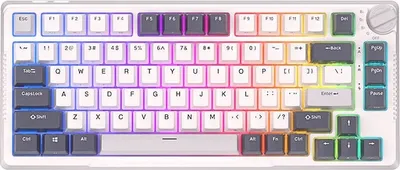Obrázok produktu pre Royal Kludge RKH81 RGB mechanická klávesnica, Sky Cyan spínače (biela)