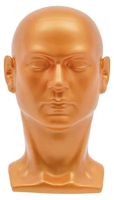 Produktbild von Perückenkopf Schaufensterpuppe - Männlicher Kopfständer - Höhe 30 cm - PVC - Kopfumfang 50 cm - Für Geschäft & Friseursalon - Gold