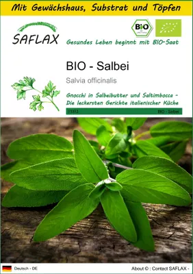 Produktbild von SAFLAX Anzucht Set - BIO - Salbei - Salvia officinalis - 60 Samen - Mit Mini-Gewächshaus, Anzuchtsubstrat und 2 Töpfen