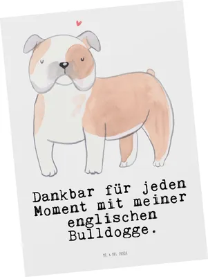 Produktbild von Mr. & Mrs. Panda Postkarte Englische Bulldogge Moment - Weiß - Geschenk, bildkarte, Postkarten, Ansichtskarten, Grußkarte, Fotokarte