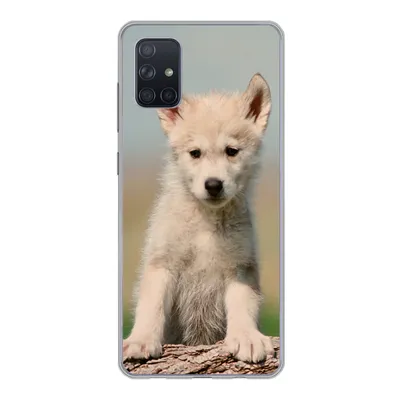 Produktbild von MuchoWow® Handyhülle Schutzhülle Hülle für Samsung Galaxy A71 Wolf - Kind - Holz Silikon Softcase Handy Hülle - Kartenbesitzer