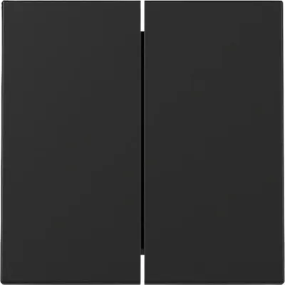 Produktbild von GIRA 3295005 Wippe 2f System 55 Schwarz m