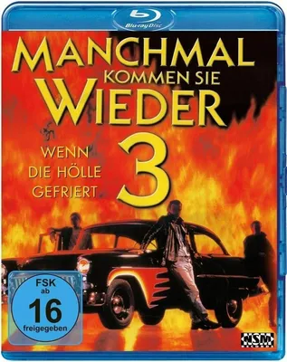 Produktbild von Manchmal kommen sie wieder 3