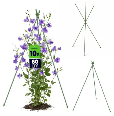 Zdjęcie produktu dla KADAX – podpórki do pnących roślin, 60 cm, 10 sztuk, metalowe podpórki z powłoką z tworzywa sztucznego, obelisk do kwiatów, sadzonek i truskawek pnących