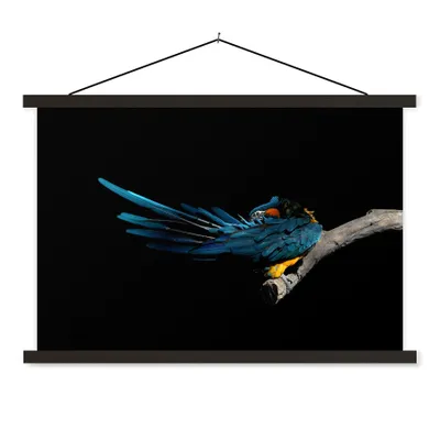 Produktbild von MuchoWow® Textilposter Vogel - Federn - Zweig - Schwarz 60x40 cm mit schwarzem Rahmen - Hölzernes