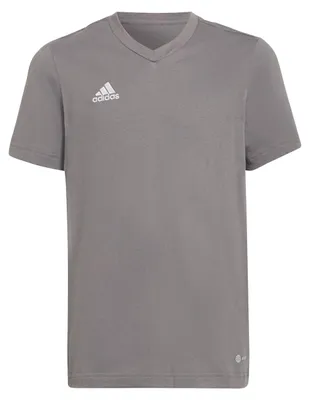 Produktbild von adidas Entrada 22 T-Shirt 152 TEGRFO