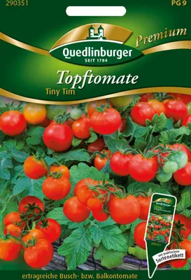 Produktbild von Quedlinburger Saatgut - Topftomate Tiny Tim - Samen - 290351