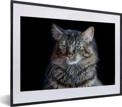Produktbild von MuchoWow® MuchoWow® Gerahmtes Poster Maine Coon Katze mit schwarzem Hintergrund 40x30 cm - Poster mit zchwarzem Bilderrahmen - Bilderrahmen - Poster im Rahmen