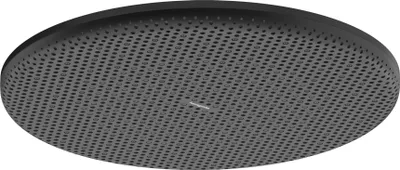 Immagine prodotto di hansgrohe Raindance Alive S Douche de tête 300 1jet EcoSmart, 24521670, 24521670