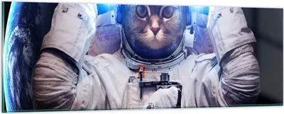 Produktbild von Bilder auf glas - Kosmonaut Katze - 90x30cm - Glasbilder - Wandbilder - Kunstdruck - zum Aufhängen bereit - Wanddekoration aus Glas - Glas Bilder - Wandbild auf Glas - Einteilig - GAB90x30-3734