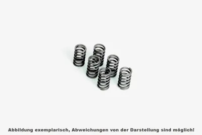 Produktbild von 481-070 FERODO Kupplungsfeder für HONDA