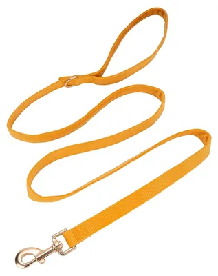 Image de Omgoods - Laisse pour chien en velours doux - 1,5 x 150 cm, idéale pour les petits chiens