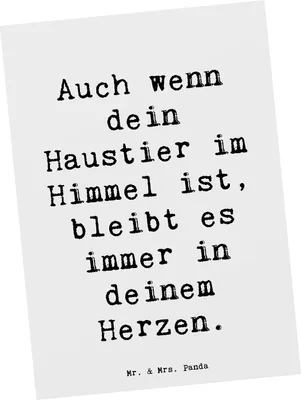 Produktbild von Mr. & Mrs. Panda Postkarte Spruch Trauerbewältigung Haustierverlust - Weiß - Geschenk, Trost, Zuversicht, liebevoll, Trauer, Vertrauem, bildkarte, Ansichtskarten, Mut