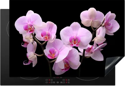 Produktbild von KitchenYeah© Herdabdeckplatte Orchidee - Blumen - Rosa - Flora , 77x51cm, Küche Deko, Glaskeramikkochfeld Herdabdeckung, Abdeckplatte fùr Kochfeld