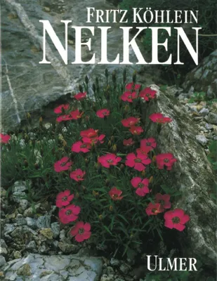 Produktbild von Nelken
